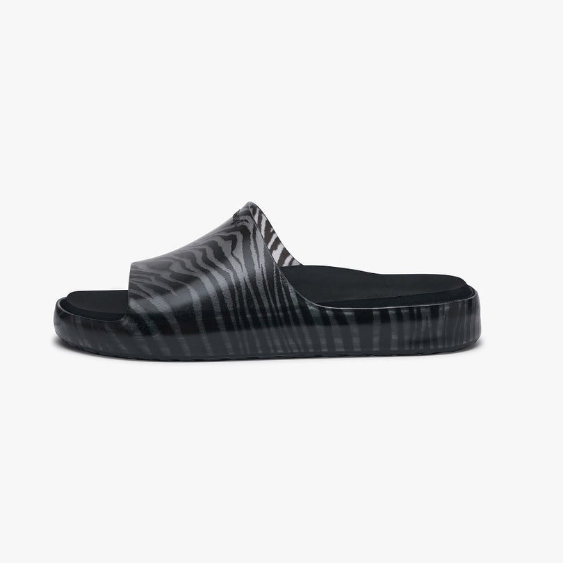 #farbe_Black Zebra