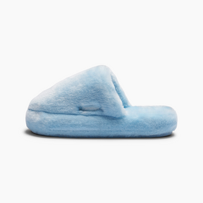 Hearth