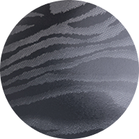 Black Zebra / 36