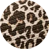 Leopard / 36/37