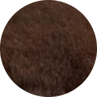 Mocha Glow / 36/37