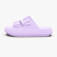 Violet Fairy / 36/37