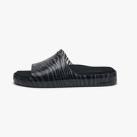 Black Zebra / 36