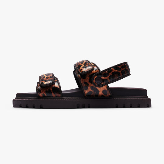 Savanna Leopard / 36