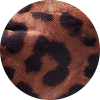 Silky Leopard / 36