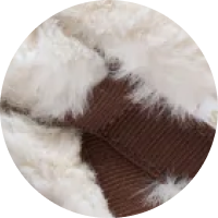 Snowbear Tan / 36
