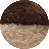 Toffee Cream / 36/37