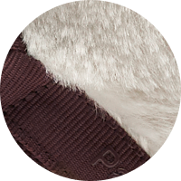 Winter Fox / 36