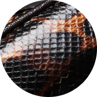 Savanna Leopard / 36