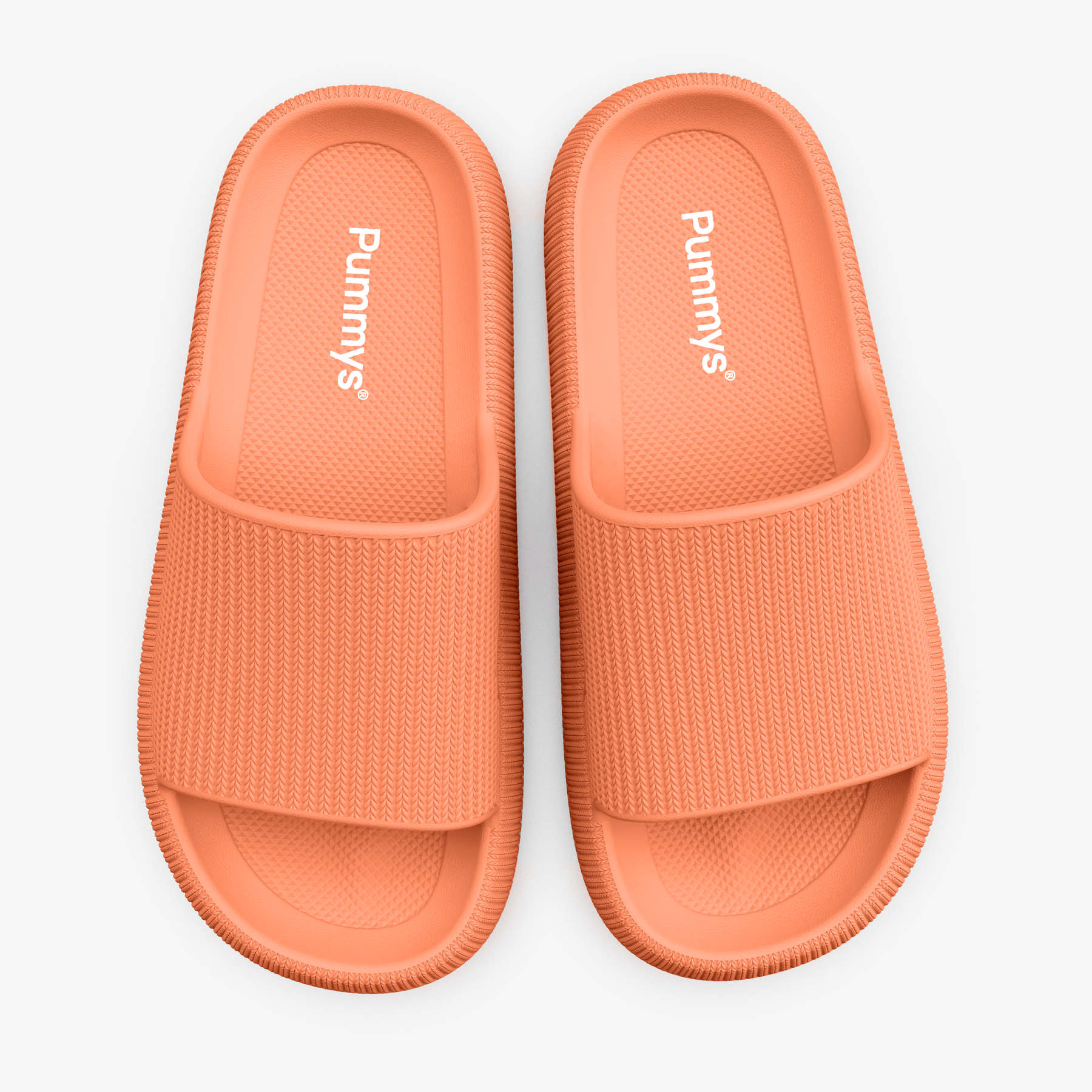 Pammys Originals -R